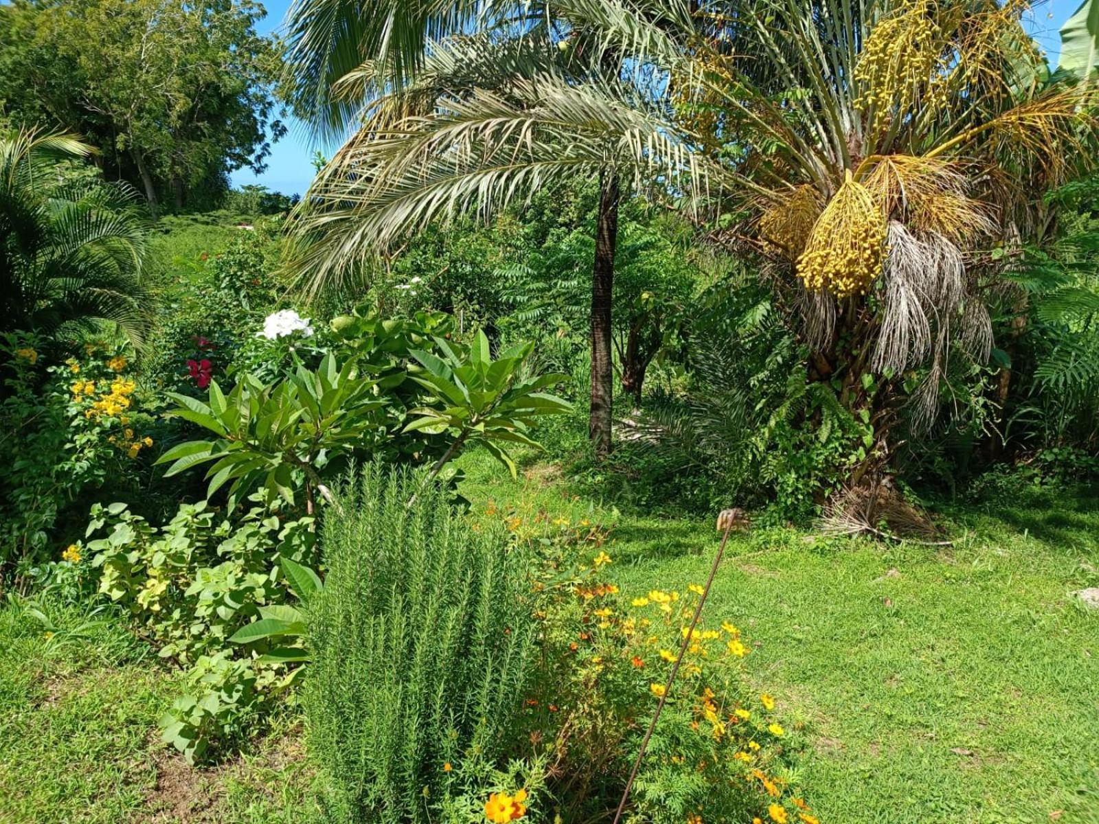 Les Gites Du Sud - O Naturel Gourbeyre Номер фото